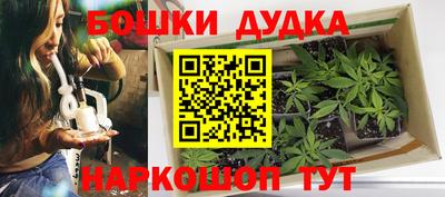 PSILOCYBIN Гудермес