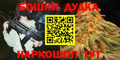 PSILOCYBIN Гудермес