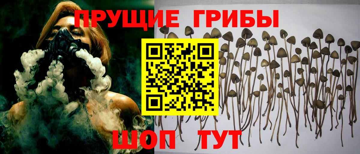 Галлюциногенные грибы Magic Shrooms  Псилоцибиновые грибы ЛСД  Вход с VPN  где купить наркоту  Нарткала 