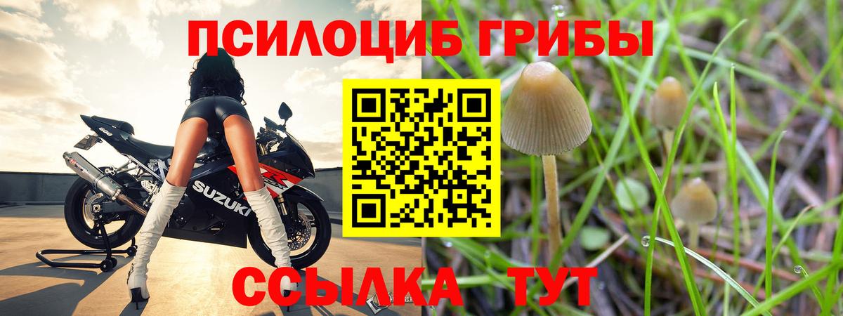 Галлюциногенные грибы Cubensis Нарткала