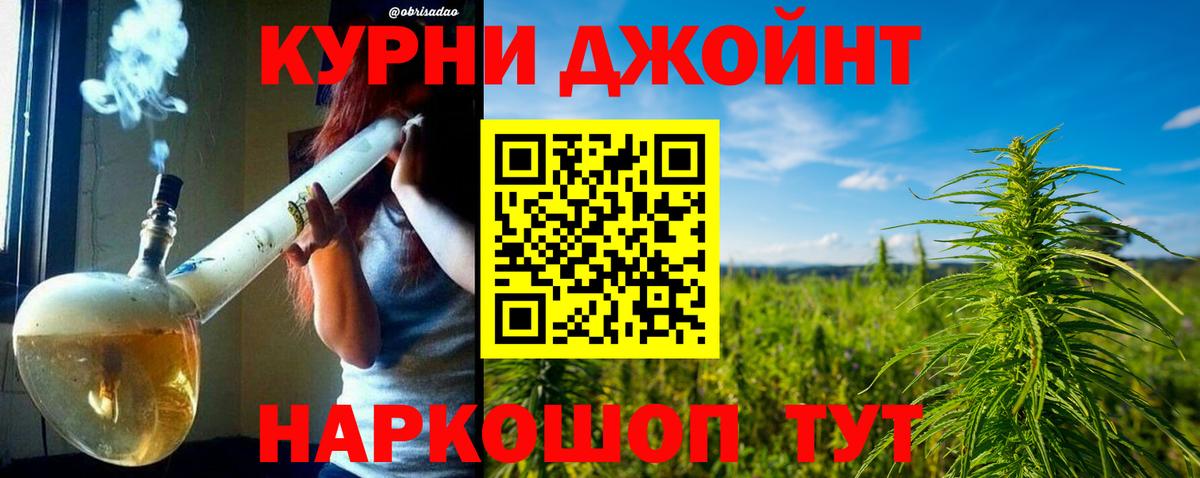 Бошки Шишки сатива Нарткала